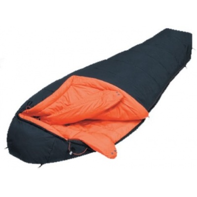   ALEXIKA DELTA Platinum left -      - "  "