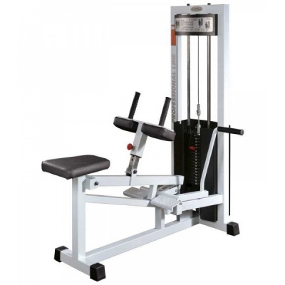 Блочный тренажер V-Sport SТ-110 - купить по специальной цене в интернет-магазине "Уют в доме"