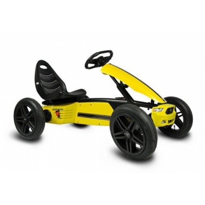  Berg Rally Mustang -      - "  "