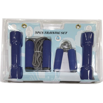  DFC TS303 -      - "  "