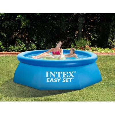   Intex Easy Set 28110 -      - "  "