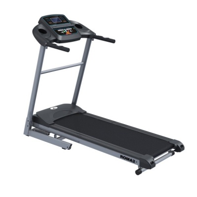     DFC ROMA2 T-500/2 -      - "  "