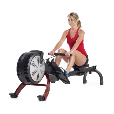     ProForm R600 -      - "  "