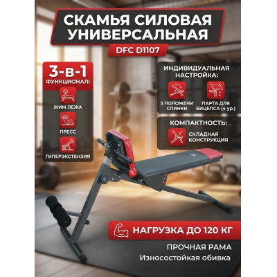 �����-������ DFC D1107 - ������ �� ����������� ���� � ��������-�������� "��� � ����"