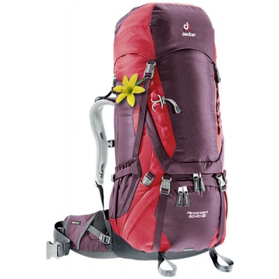   Deuter Aircontact 60+10 SL aubergine-cranberry -      - "  "