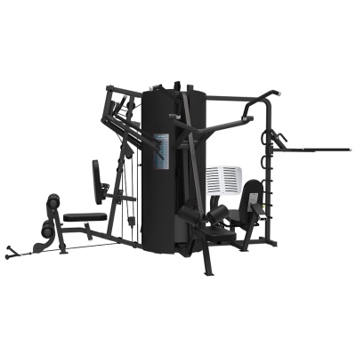  Bronze Gym LD-9090 -      - "  "