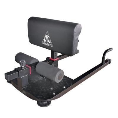     DFC Sissy Squat DFC S300 -      - "  "