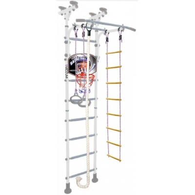    Midzumi Niji Basketball Shield -      - "  "