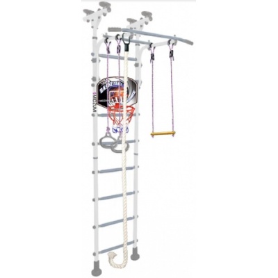    Midzumi Hoshi Basketball Shield -      - "  "