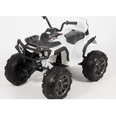  Barty Grizzly 001  -      - "  "