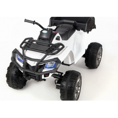  Barty Grizzly Next 009  -      - "  "