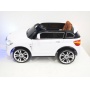   Rivertoys BMW X5 002 