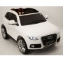  Rivertoys Audi Q5