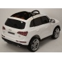   Rivertoys Audi Q5