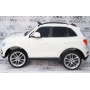   Rivertoys Audi Q5