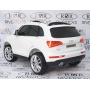   Rivertoys Audi Q5