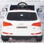  Rivertoys Audi Q5