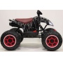 Детский электроквадроцикл Rivertoys T777TT spider черный