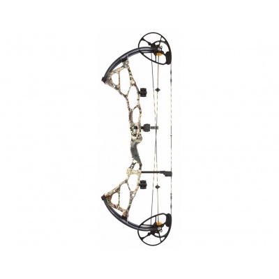    Bowtech BT-X 31 -      - "  "