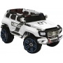   Rivertoys Mercedes E333KX 