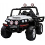   Rivertoys BUGGY 333 44 