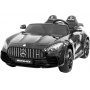   Rivertoys Mercedes-Benz AMG GT R HL289  