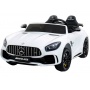   Rivertoys Mercedes-Benz AMG GT R HL289 
