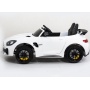   Rivertoys Mercedes-Benz AMG GT R HL289 