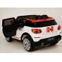   Rivertoys Mini Cooper JJ2258 