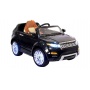  Rivertoys Rang Rover 111 VIP 