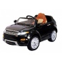  Rivertoys Rang Rover 111 VIP 