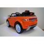  Rivertoys Rang Rover 111 VIP 