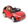  Rivertoys Rang Rover 111 VIP 