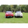 Rivertoys Rang Rover 111 VIP 