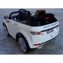  Rivertoys Rang Rover 111 VIP 