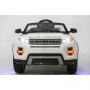  Rivertoys Rang Rover 111 VIP 