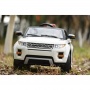  Rivertoys Rang Rover 111 VIP 