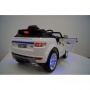  Rivertoys Rang Rover 111 VIP 