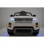  Rivertoys Rang Rover 111 VIP 
