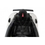   Rivertoys Pagani 009 