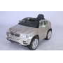  Farfello JJ258 BMW X6 (, 12V, , EVA, ) ( )