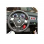  Farfello JJ258 BMW X6 (, 12V, , EVA, ) ( )