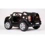  Farfello JJ298 MINI Beachcomber (12V, , ) ( )