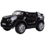  Farfello JJ298 MINI Beachcomber (12V, , ) ( )