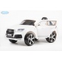 Barty Audi Q7 Quattro LUX JJ2188R/2MP
