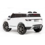 - Barty Range Rover 333