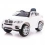   Barty BMW X6 