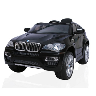  Barty BMW X6   -      - "  "