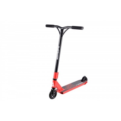  Playshion Probee Y  -      - "  "