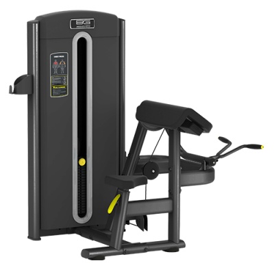    Bronze Gym M05-006 -      - "  "